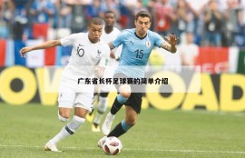 广东省长杯足球赛的简单介绍
